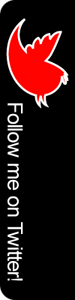view my Twitter feed
